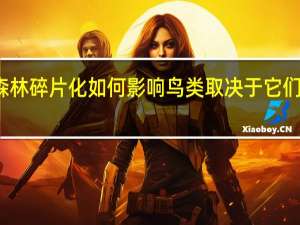 森林碎片化如何影响鸟类取决于它们的翅膀