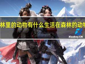森林里的动物有什么生活在森林的动物有哪些
