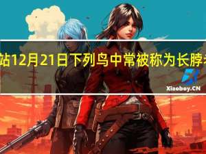 森林驿站12月21日下列鸟中常被称为长脖老等答案分享