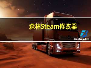 森林Steam修改器 +11 最新免费版（森林Steam修改器 +11 最新免费版功能简介）