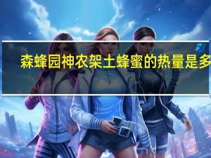 森蜂园 神农架土蜂蜜的热量是多少