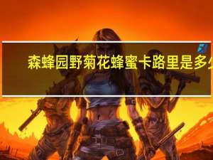森蜂园 野菊花蜂蜜卡路里是多少
