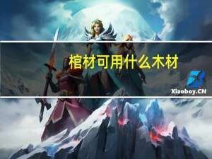棺材可用什么木材