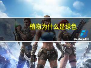 植物为什么是绿色