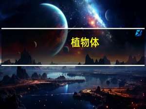 植物体，动物体的结构层次