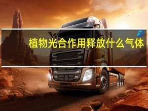 植物光合作用释放什么气体