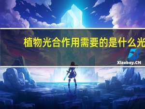 植物光合作用需要的是什么光
