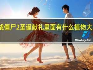 植物大战僵尸2圣诞献礼里面有什么 植物大战僵尸圣诞版