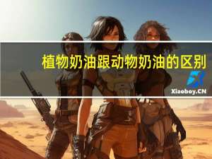 植物奶油跟动物奶油的区别