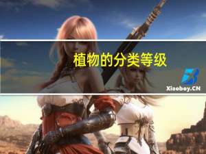 植物的分类等级