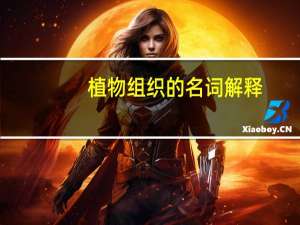 植物组织的名词解释