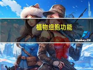植物细胞功能