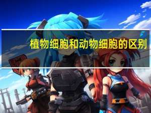 植物细胞和动物细胞的区别