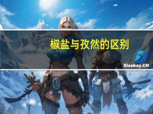 椒盐与孜然的区别