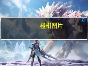 椪柑图片（椪柑）
