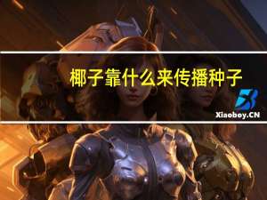 椰子靠什么来传播种子