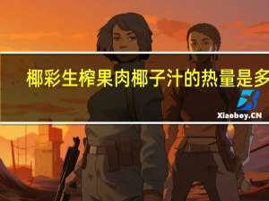 椰彩 生榨果肉椰子汁的热量是多少