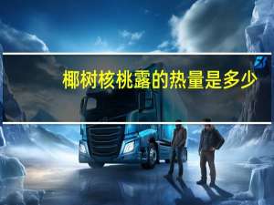 椰树 核桃露的热量是多少