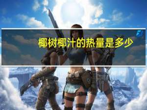 椰树 椰汁的热量是多少