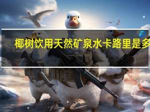 椰树 饮用天然矿泉水卡路里是多少