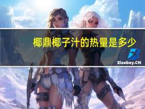 椰鼎 椰子汁的热量是多少