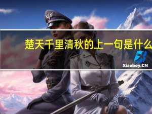 楚天千里清秋的上一句是什么