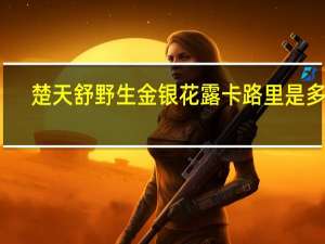 楚天舒 野生金银花露卡路里是多少