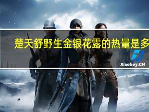楚天舒 野生金银花露的热量是多少