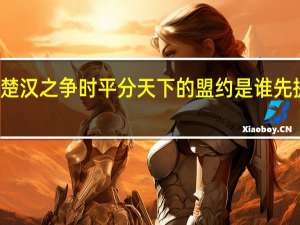 楚汉之争时平分天下的盟约是谁先提出的