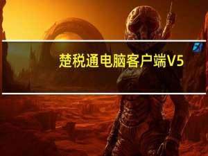 楚税通电脑客户端 V5.3.0 官方PC版（楚税通电脑客户端 V5.3.0 官方PC版功能简介）