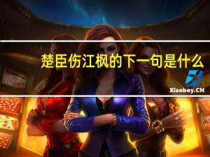 楚臣伤江枫的下一句是什么