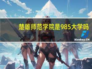 楚雄师范学院是985大学吗