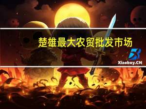 楚雄最大农贸批发市场