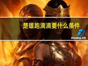 楚雄跑滴滴要什么条件