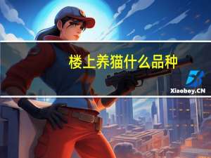 楼上养猫什么品种