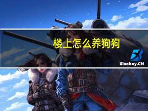 楼上怎么养狗狗