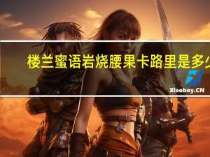 楼兰蜜语 岩烧腰果卡路里是多少