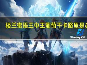 楼兰蜜语 王中王葡萄干卡路里是多少