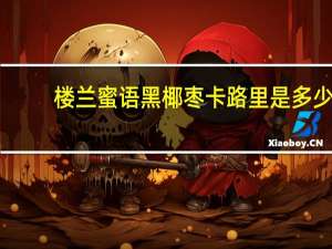 楼兰蜜语 黑椰枣卡路里是多少