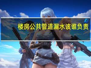 楼房公共管道漏水该谁负责