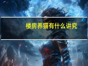 楼房养猫有什么讲究