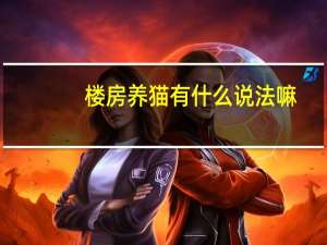 楼房养猫有什么说法嘛