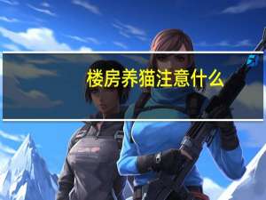 楼房养猫注意什么