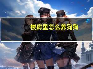 楼房里怎么养狗狗