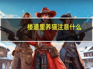 楼道里养猫注意什么