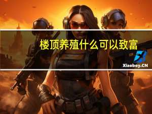 楼顶养殖什么可以致富