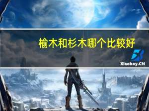 榆木和杉木哪个比较好