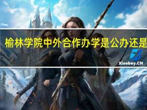 榆林学院中外合作办学是公办还是民办