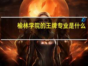 榆林学院的王牌专业是什么