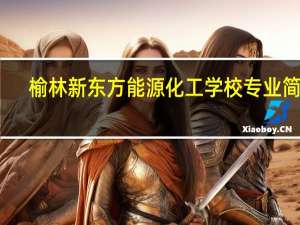 榆林新东方能源化工学校专业简介